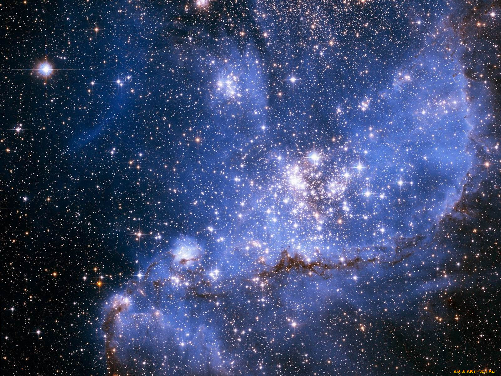 фото космоса красивые звезды